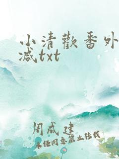 小清欢番外未删减txt