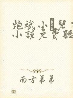 炮斌小苮儿有声小说免费听书