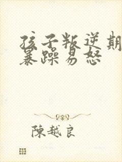 孩子叛逆期脾气暴躁易怒