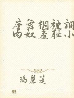 唐舞桐被调教成肉奴羞耻小说