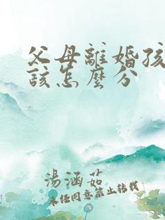 父母离婚孩子应该怎么分