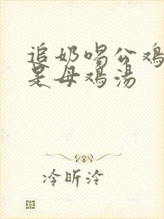 追奶喝公鸡汤还是母鸡汤