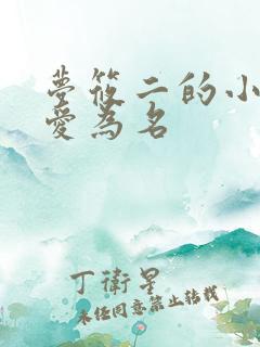 梦筱二的小说以爱为名