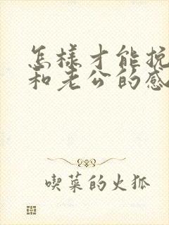 怎样才能挽回我和老公的感情