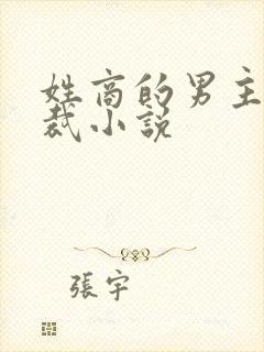 姓商的男主角总裁小说