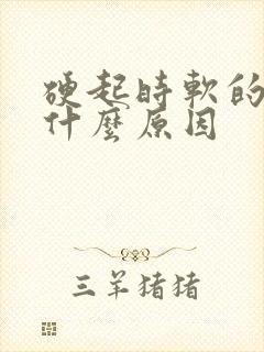 硬起时软的快是什么原因