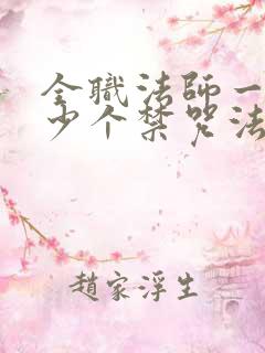 全职法师一共多少个禁咒法师