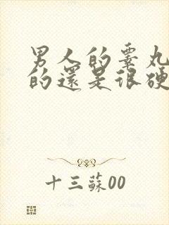 男人的睾丸是软的还是很硬