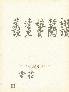 叶清婉楚翊辰小说免费阅读最新章节