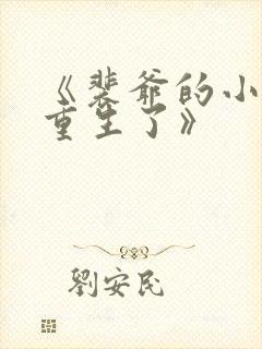 《裴爷的小祖宗重生了》