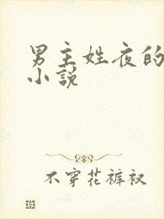 男主姓夜的现代小说
