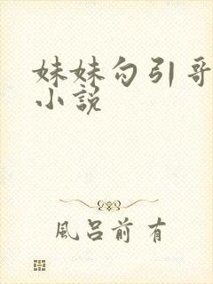 妹妹勾引哥哥的小说