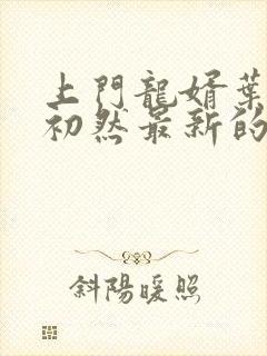 上门龙婿叶辰萧初然最新的