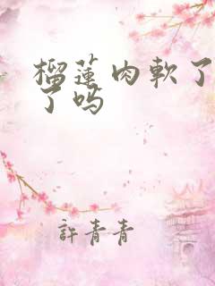 榴莲肉软了是坏了吗