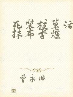 死装校草活该被抹布香炉
