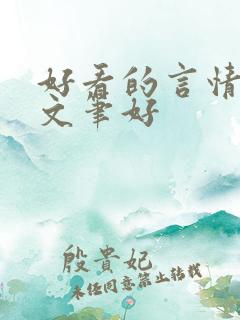 好看的言情小说文笔好