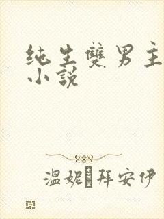 纯生双男主生子小说