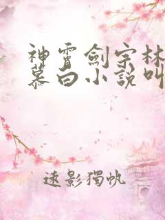 神霄剑宗林峰苏慕白小说叫什么