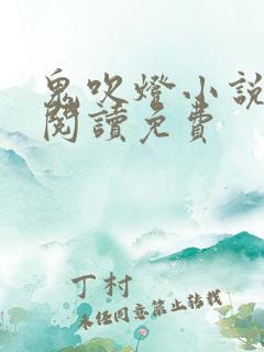 鬼吹灯小说在线阅读免费