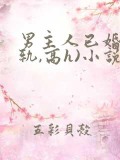 男主人已婚(出轨,高h)小说