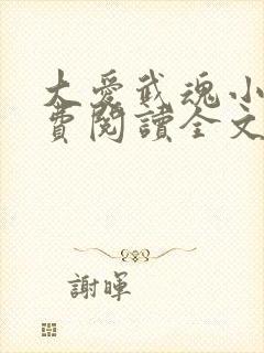 大爱武魂小说免费阅读全文最新章节