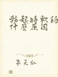 勃起时软的快是什么原因