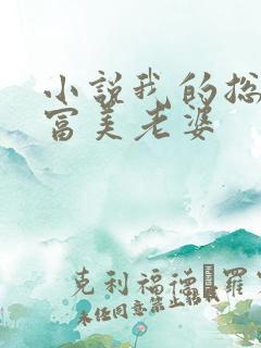 小说我的总裁白富美老婆