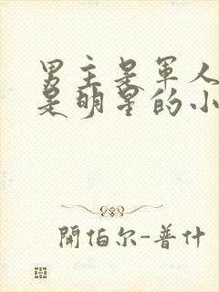 男主是军人女主是明星的小说