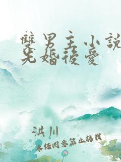 双男主小说推荐先婚后爱