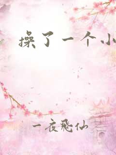 操了一个小骚货