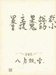 男主是总裁女主会捉鬼的小说