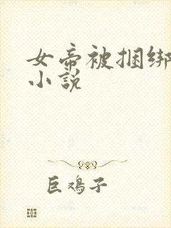 女帝被捆绑调教小说