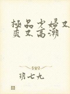 极品少妇又色又爽又高潮