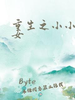 重生之小小农家女