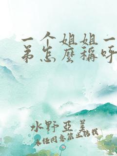 一个姐姐一个弟弟怎么称呼