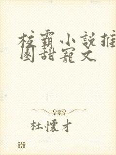 校霸小说推荐校园甜宠文