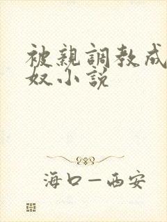被亲调教成她的奴小说
