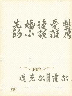 先婚后爱双男主的小说推荐