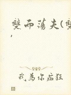 双面荡夫(双性,