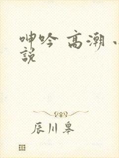 呻吟 高潮 小说