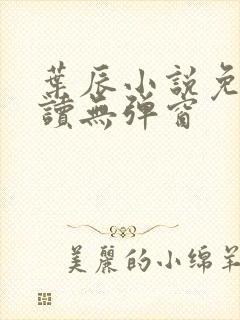 叶辰小说免费阅读无弹窗