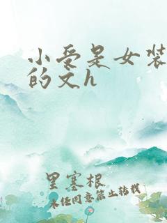 小受是女装大佬的文h