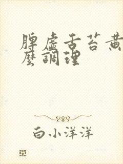 脾虚舌苔黄腻怎么调理