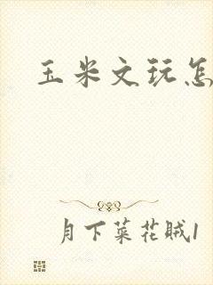 玉米文玩怎么盘