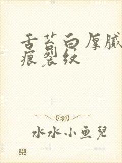 舌苔白厚腻有齿痕裂纹