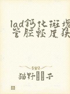 lad钙化斑块管腔轻度狭窄