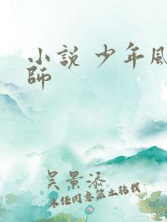 小说 少年风水师