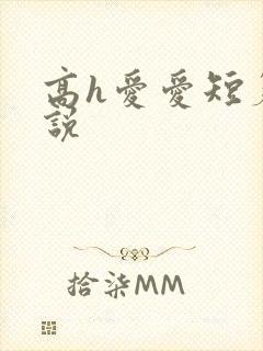 高h爱爱短篇小说