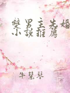 双男主先婚后爱小说推荐