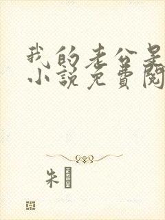 我的老公是酷哥小说免费阅读全文